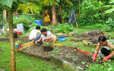 How Sustainable Agriculture Can Help Fight Climate Change