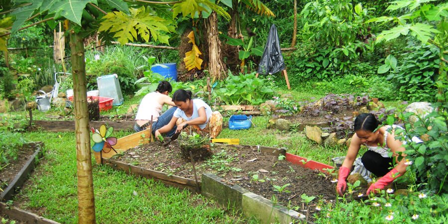 How Sustainable Agriculture Can Help Fight Climate Change